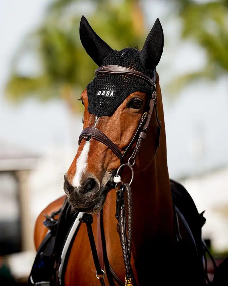 Polias - Bonnet pour chevaux - Image 4